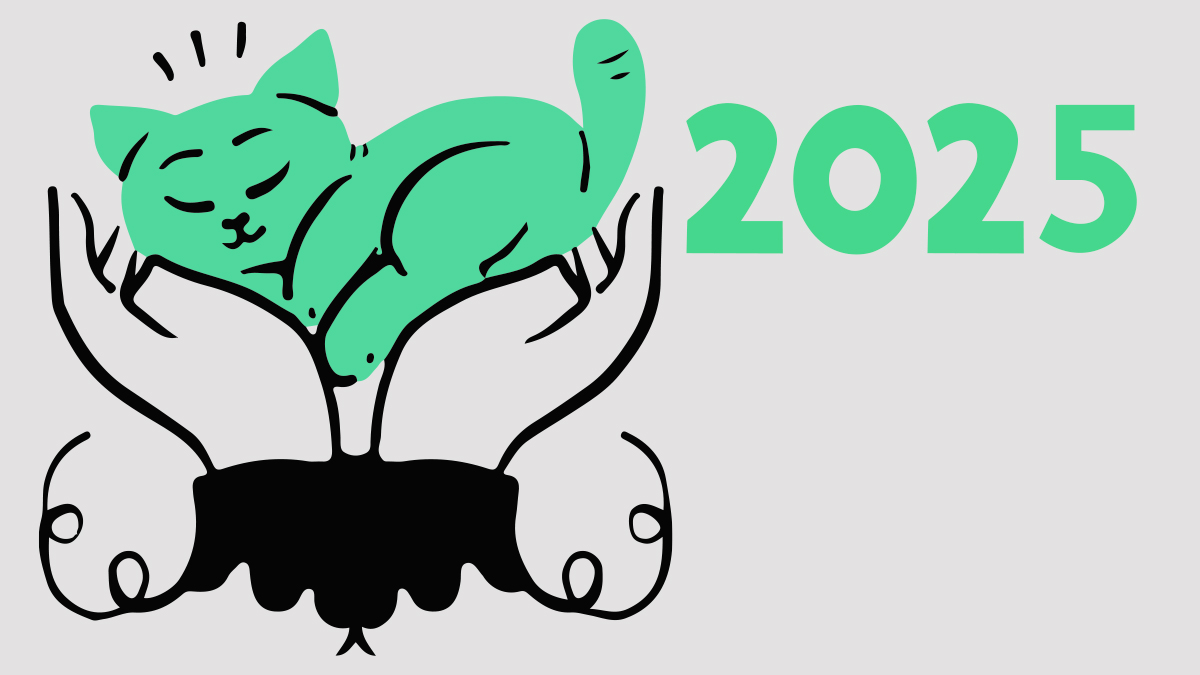 NRAI Selection Criteria for Rifle the Process